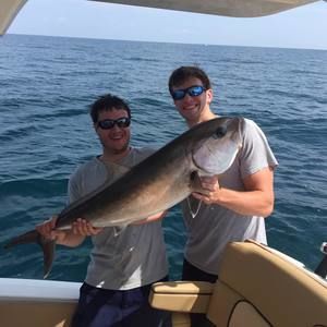 Meet your Posher, Blake